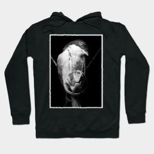 Surreal Bird Art Design Hoodie